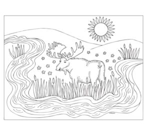 coloring-pages