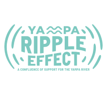 FOTY Yampa Ripple Effect donation