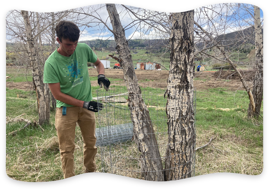 FOTY Yampa River Stewardship Projects